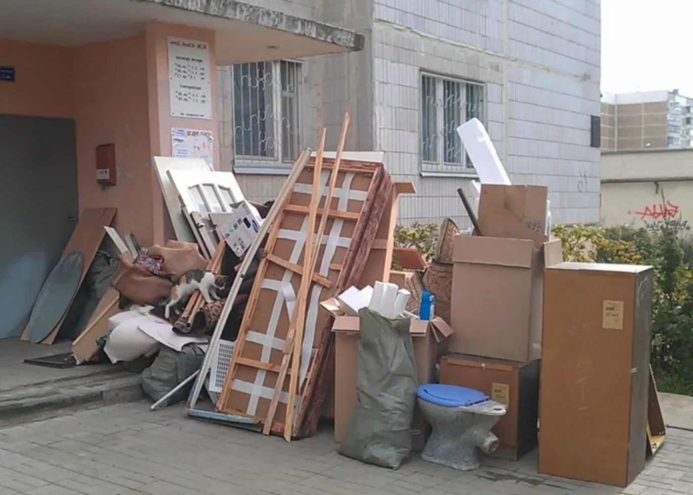 Профессиональный вывоз мусора из квартиры в Новом Уренгое в октябре