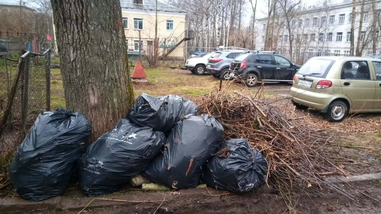 Вывоз мусора после субботника в Новом Уренгое от ПроМусор – уборка и утилизация отходов от 2444 руб