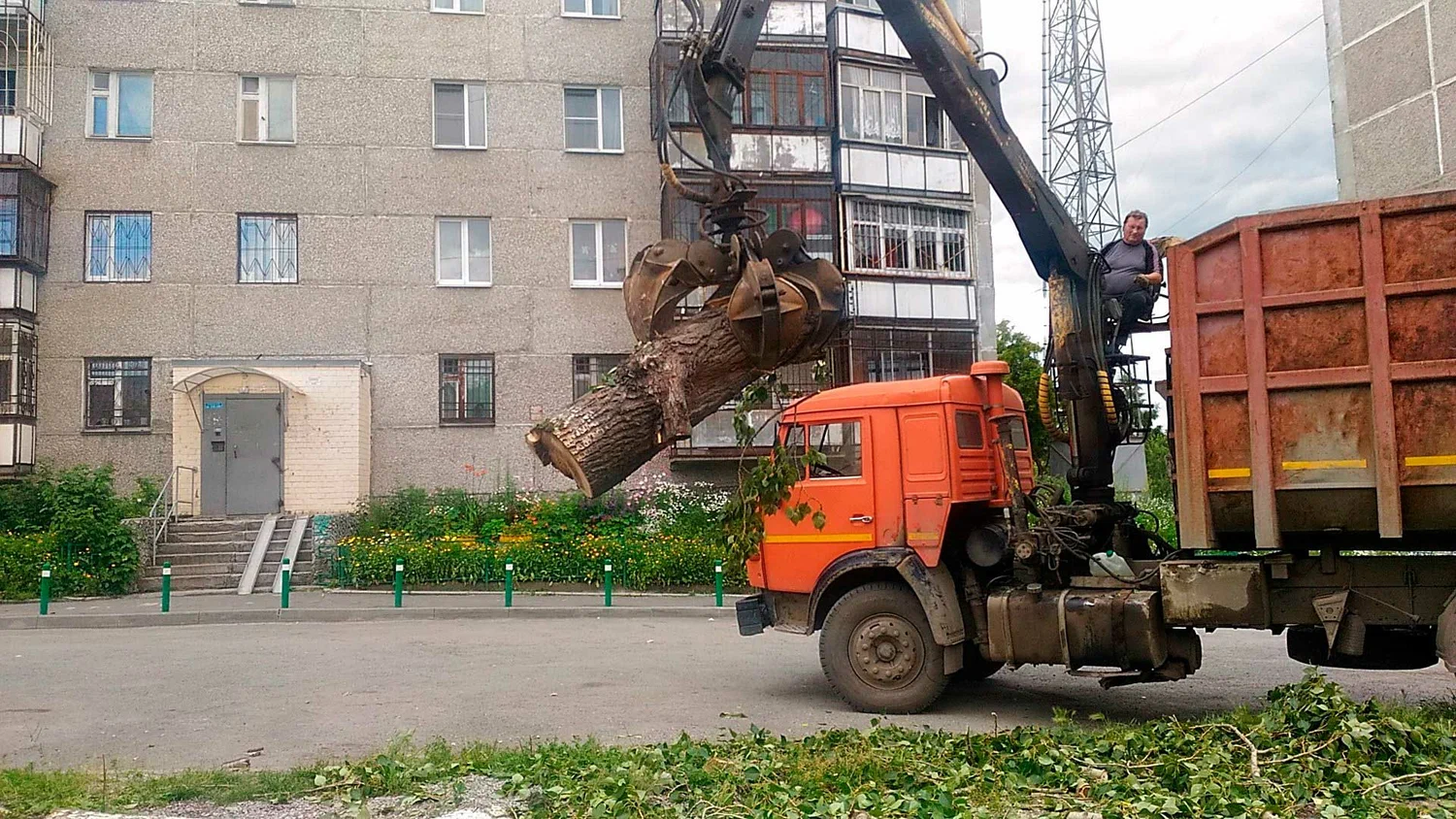 Вывоз спиленных веток и деревьев в Новом Уренгое от ПроМусор: порубочные остатки, утилизация, цена от 3015 руб