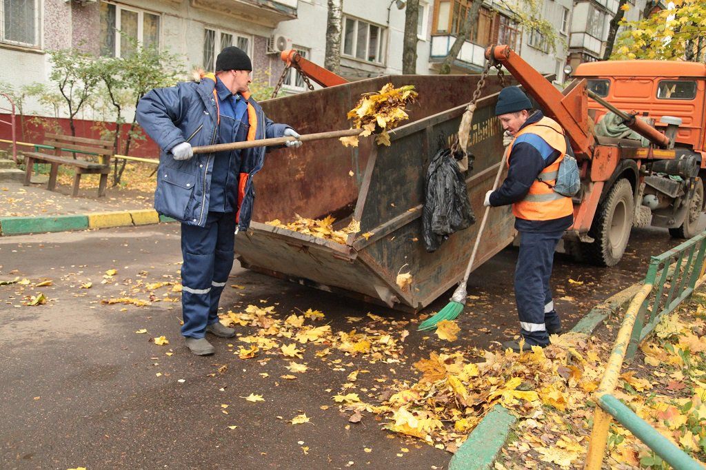Вывоз опавшей листвы и растительного мусора в Новом Уренгое от ПроМусор – цена от 4679 руб., быстрая уборка и утилизация
